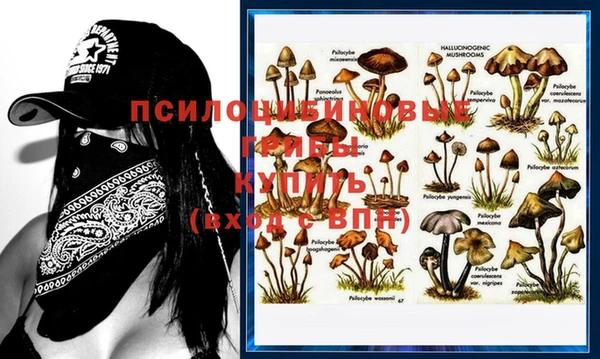 кокс Абдулино