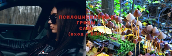 прущие крисы Абинск