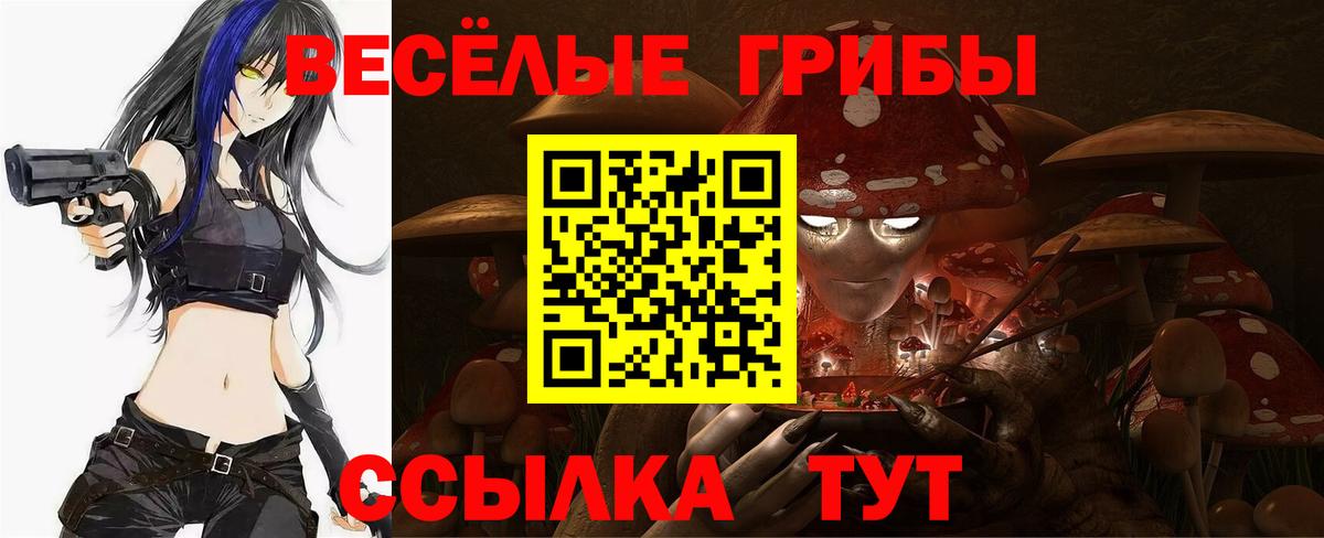 Псилоцибиновые грибы Cubensis Новокузнецк